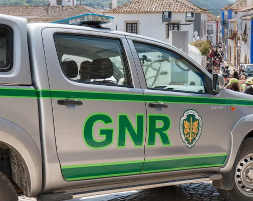 Apreensão de espécies cinegéticas e autóctones e levantamento de seis autos de contraordenação